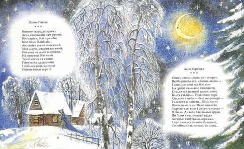 Новорічна книга